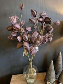 Lampion bloem Deep Purple Sale