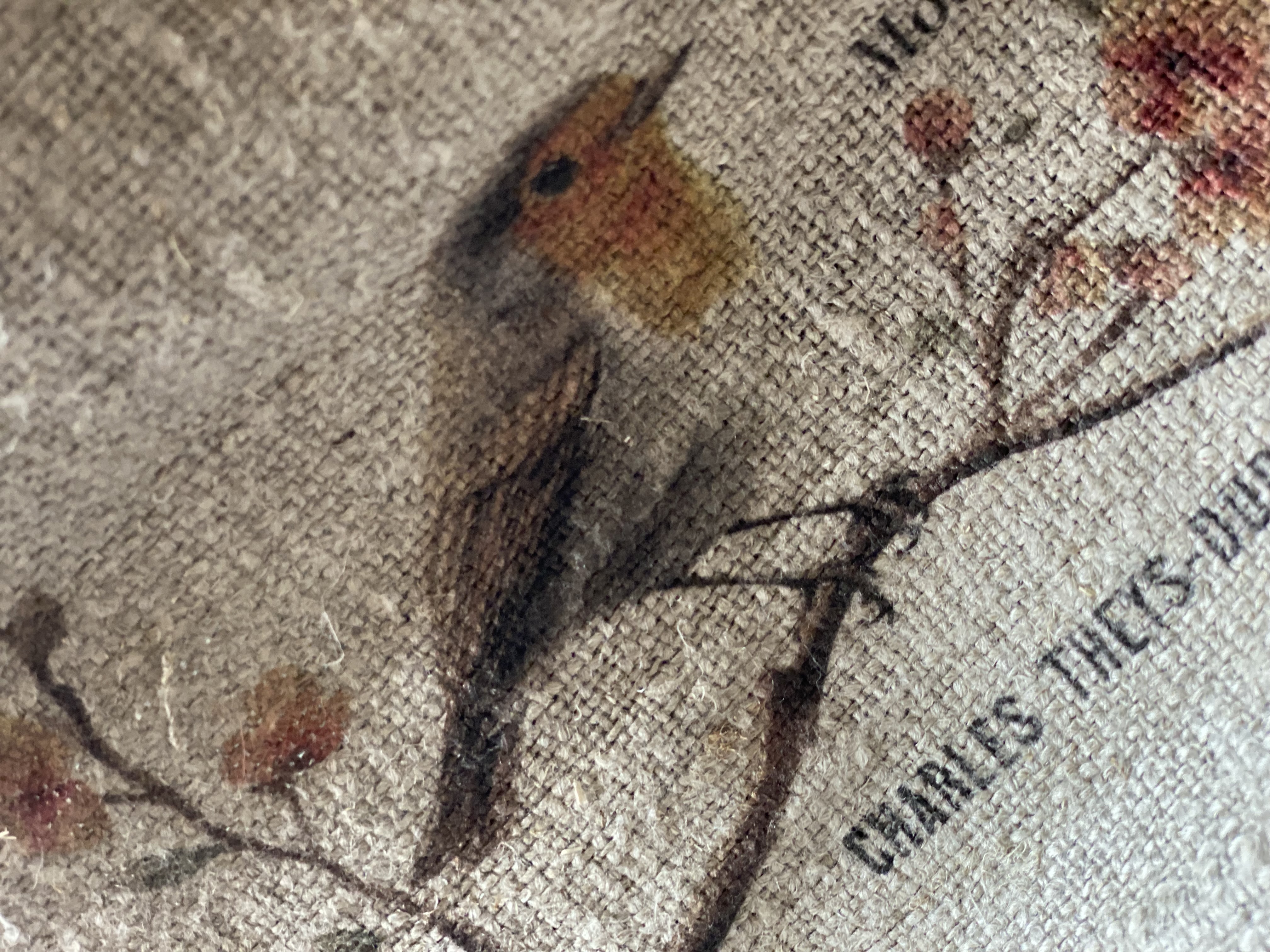Shabby Roodborstje  kleur