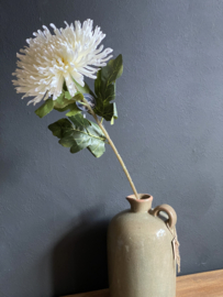 Chrysant Wit XL
