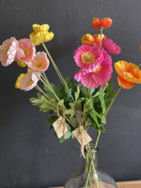 Veldbloem Poppy Licht Roze