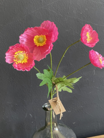 Veldbloem Poppy Pink