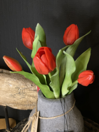 Tulp Rood 5 31cm