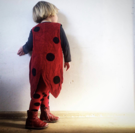 Linen Vest  Ladybug