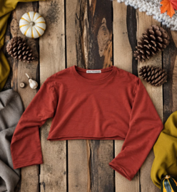 Crop Top Terracotta