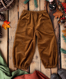 Corduroy Trousers Brown