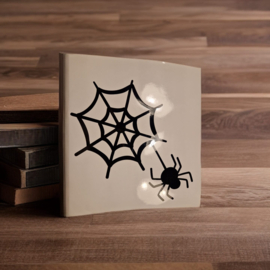 Halloween spinnenweb met spin