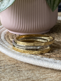 RVS (stainless steel)  bangle armband. “love you to the moon and back”
