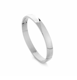 Stainless steel brede bangle / slavenarmband.