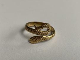 Stainless steel (RvS) ring. ‘Snake’. Goudkleurig.
