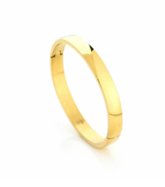 Stainless steel brede bangle / slavenarmband.