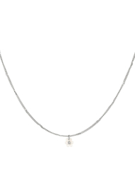 Korte stainless steel ketting met pareltjes bloem. Zilverkleurig.