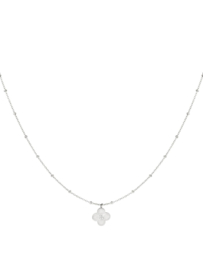 Korte stainless steel ketting met klavertje. Zilverkleurig.