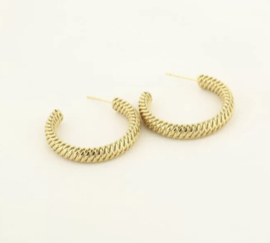 Rvs / stainless steel oorbellen. Bewerkte creolen zilver of Goudkleurig.