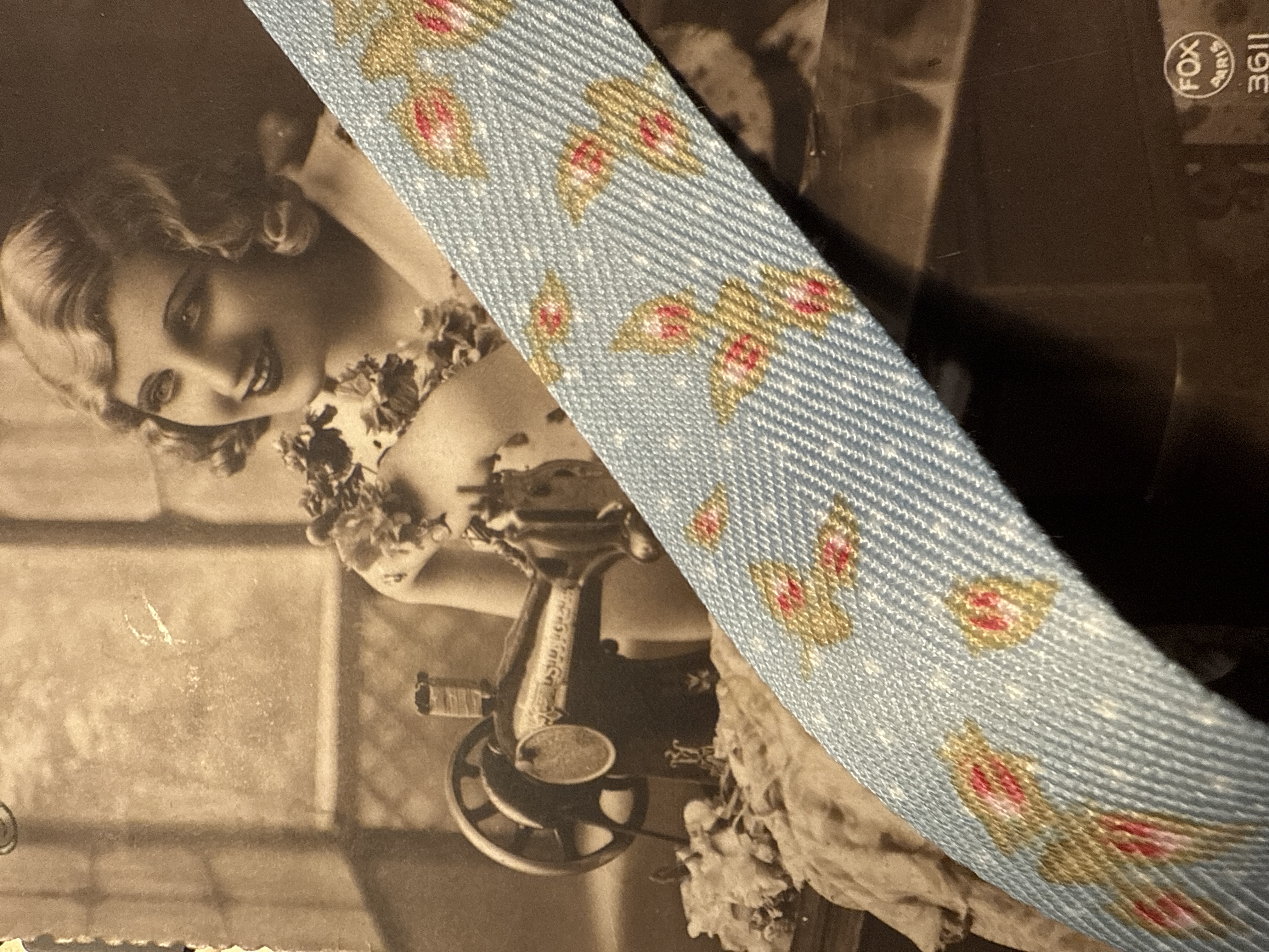Tresband | Blauw | 02.5 cm - 25 mm breed | Zacht tussenband met blaadjes