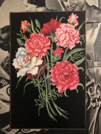 Briefkaart | Bloemen | Anjers | 1950 - Rode en roze anjers op zwarte achtergrond