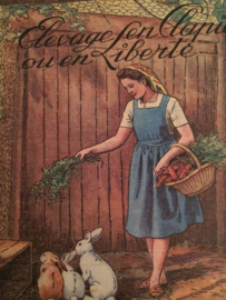 VERKOCHT | Rustica  Konijntjes | 21 Janvier 1951 - Vintage  Frans tijdschrift over landbouw en dieren