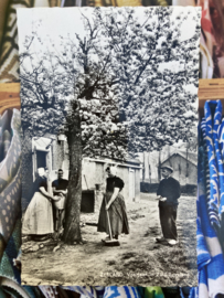 Briefkaarten | Zeeland | Zuid-Beveland | 1967 - Fotokaart voorjaar in Zuid-Beveland