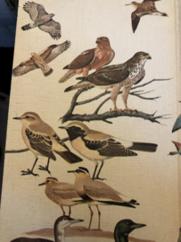 Boeken | Natuur |  The Hamlyn Guide to Birds of Britain and Europe (German) Paperback – 1974
