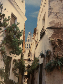 Boeken | Spanje | Andalusie en de Costa del Sol: Tekst van Lucienne en Jesus Rome (icob) - (1985)