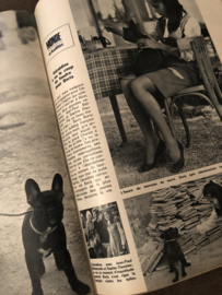 1964 | Jours de France - 10 Oct. 1964 - Nathalie Wood