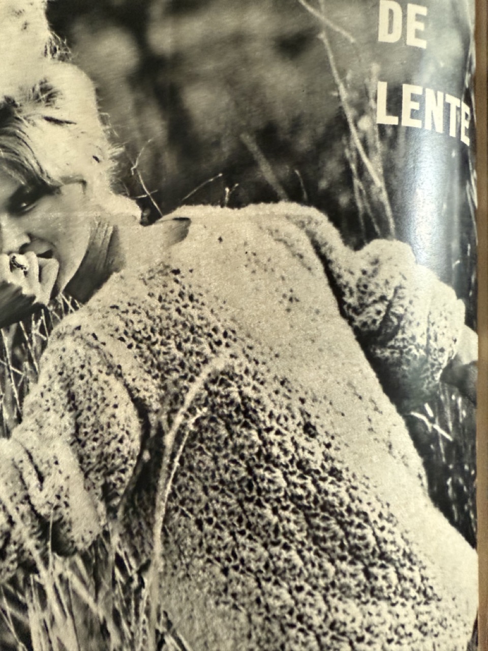 Ariadne: maandblad voor handwerken | 1964 - nr. 206 - 15 februari - truien
