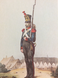 Verzamelkaart leger uniformen nr. 17  | België | Linie-Infanterie | 1831