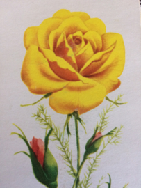 Oostblok | Vintage naaldenboekje met gele en rode roos | jaren '50