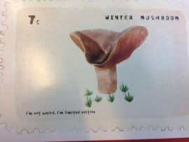 Briefkaart | "Winter Mushroom" - "Im not weird. I'm limited edition"