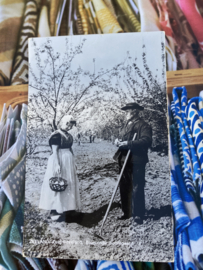 Briefkaarten | Zeeland | Man & vrouw | Zuid-Beveland | 1955  - Fotokaart man en vrouw in bloeiende boomgaard