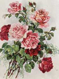 19xx | Briefkaarten | Rozen | Bonne fete - kaart met rozen