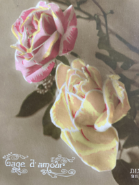 19xx | Briefkaarten | Rozen | Gage de Amour - kaart met rozen
