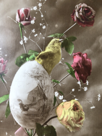 Briefkaarten | Pasen | 'Bonnes Paques' B.M. Paris 330: Kuikens, ei en rozen (1900-1910)