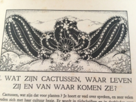 Verzamelalbum | Koninklijke Verkade's  Fabrieken N.V. Zaandam | "Cactussen" | 1931