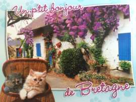 Frankrijk | Briefkaart met huisje, bloemen en poesjes | de Bretagne