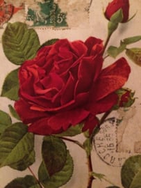 VERKOCHT | 1907-1914 - Antieke briefkaart "Rode Roos"