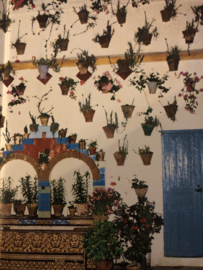Boeken | Spanje | Andalusie en de Costa del Sol: Tekst van Lucienne en Jesus Rome (icob) - (1985)