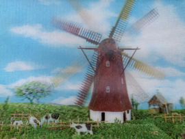 3-D Hologram kaart | Koeien in de wei, landschap met molen