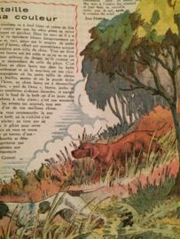 VERKOCHT | Rustica Pompoen | 21 Mai 1950 - Vintage  Frans tijdschrift over landbouw en dieren