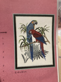 Borduurpatronen | Vogels | Eva Rosenstand - Papagaaien (45 x 60 cm)