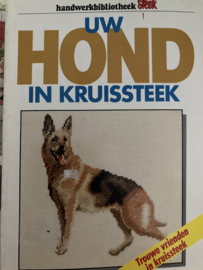 BORDUREN | DIEREN
