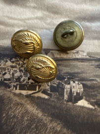 Ø 16 mm - 1.6 cm | Goudkleurige Franse luchtmacht WWII Officier luchtmacht T.W & W Paris  militaire knoop