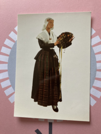 Briefkaarten | Drenthe | Rijke Drentse dracht voor feestelijke gelegenheid eind 19 eeuw - briefkaart