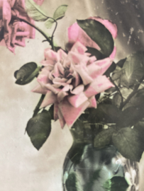 19xx | Briefkaarten | Rozen | Kaart met rozen in vaasje