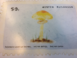 Briefkaart | "Winter Mushroom" - "Determine what we become, not our ability, but our choice"