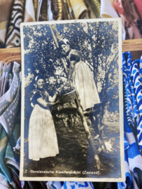 Briefkaarten | Zeeland | Zuid-Beveland | 1950 | Zeeuwse rouwen in boomgaard appels plukken