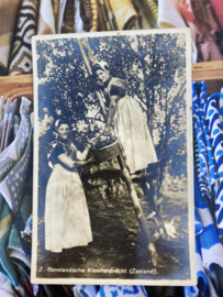 Briefkaarten | Zeeland | Vrouwen | Zuid-Beveland | 1950 | Zeeuwse rouwen in boomgaard appels plukken