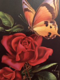 VERKOCHT | 1950 -  Briefkaart Postcard | Supermooie vintage glanskaart rode roos met vlinder Artist C. Vivey