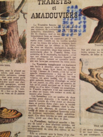 VERKOCHT | Rustica Pompoen | 21 Mai 1950 - Vintage  Frans tijdschrift over landbouw en dieren