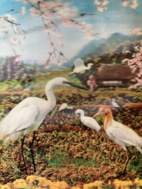 3-D Hologram kaart | Witte reiger Heron & cherries  Denemarken