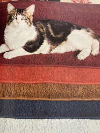 Boeken | Borduren | Productcatalogus Tapis Pinquin - 100% leacril